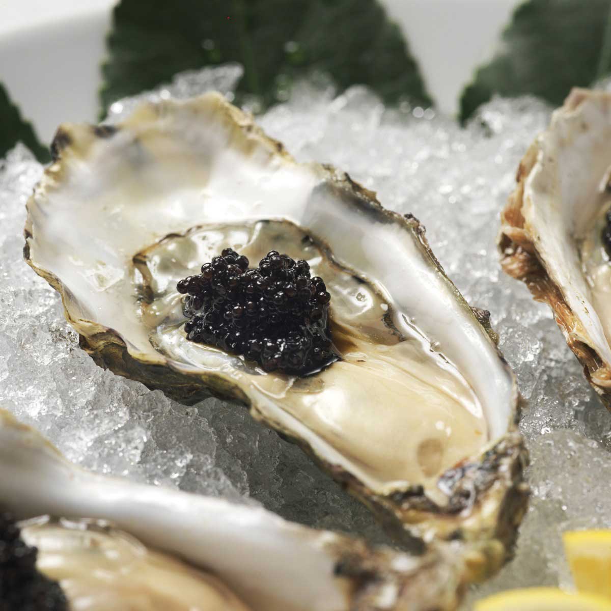 YLC-Caviar-Photos-4-Caviar-Topped-Oysters